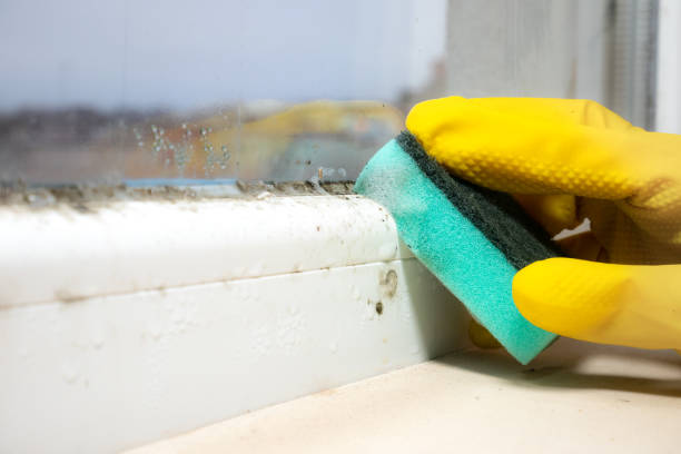 Mold Remediation for Rental Properties in Island City, OR